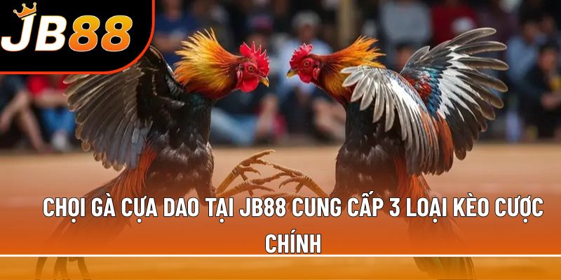 Chọi gà cựa dao tại JB88 cung cấp 3 loại kèo cược chính