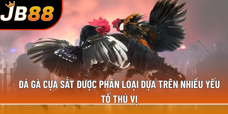 Đá gà cựa sắt được phân loại dựa trên nhiều yếu tố thú vị