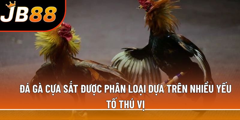Đá gà cựa sắt