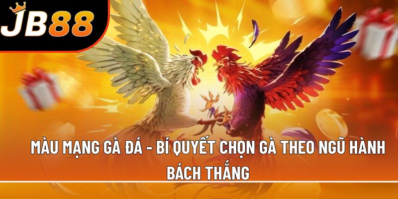 Màu mạng gà đá