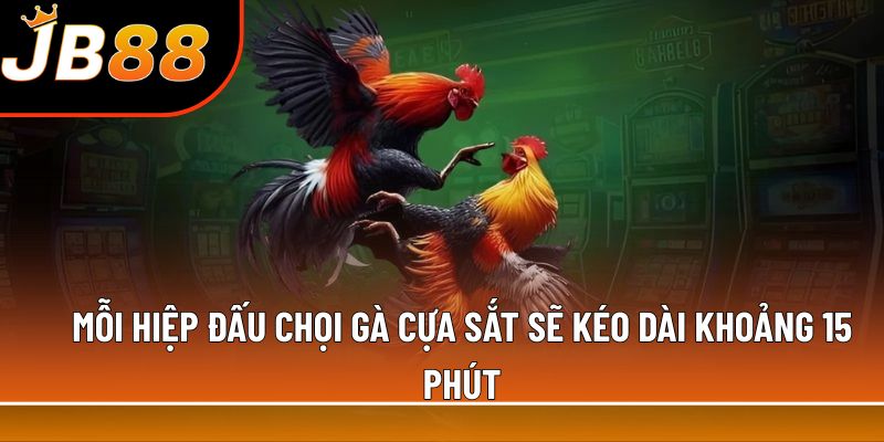 Mỗi hiệp đấu chọi gà cựa sắt sẽ kéo dài khoảng 15 phút